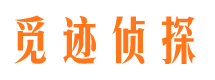 万源市调查公司